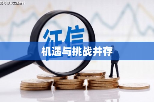 盐田机遇与挑战并存