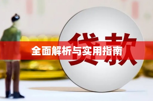 盐田全面解析与实用指南