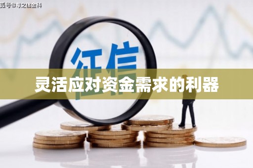 盐田灵活应对资金需求的利器
