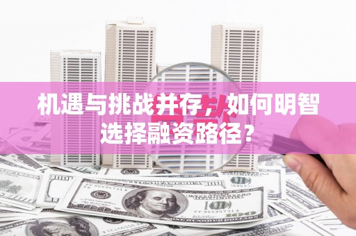 盐田机遇与挑战并存，如何明智选择融资路径？
