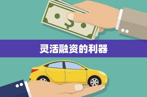 盐田灵活融资的利器