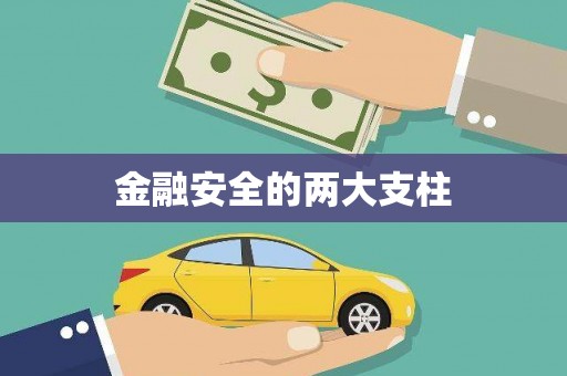 盐田金融安全的两大支柱