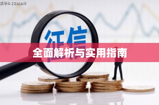 盐田全面解析与实用指南