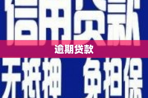 盐田逾期贷款