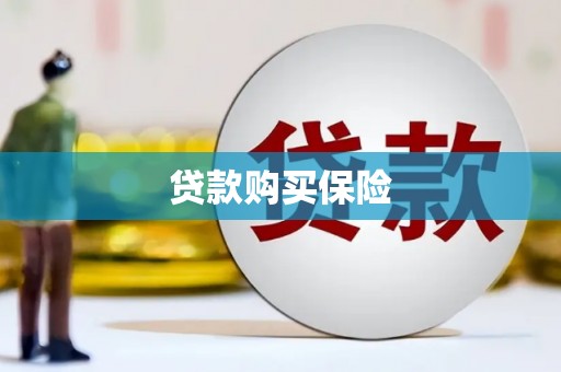盐田贷款购买保险