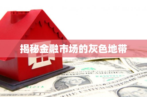 盐田揭秘金融市场的灰色地带