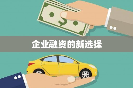 盐田企业融资的新选择