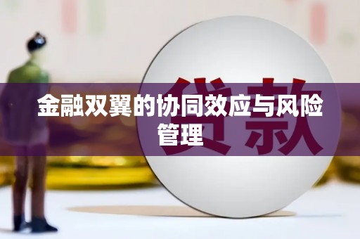 盐田金融双翼的协同效应与风险管理