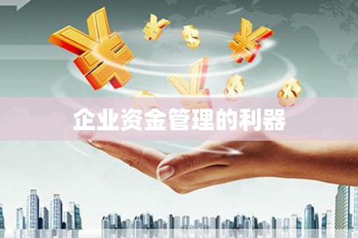 盐田企业资金管理的利器