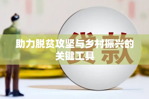 盐田助力脱贫攻坚与乡村振兴的关键工具