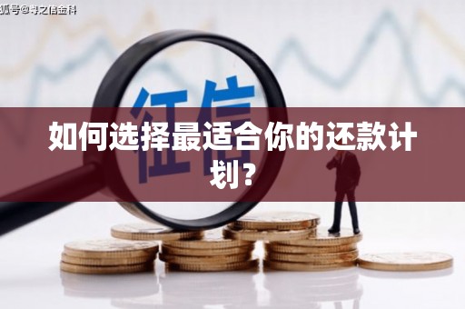 盐田如何选择最适合你的还款计划？