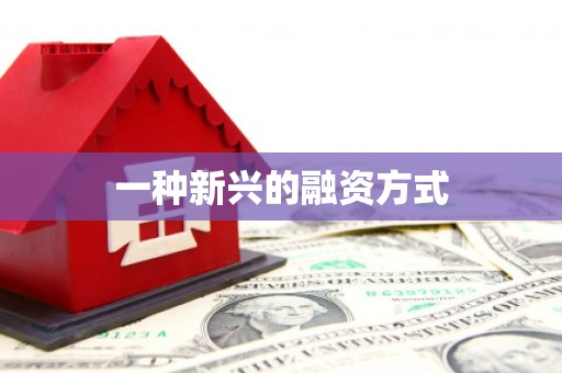 盐田一种新兴的融资方式