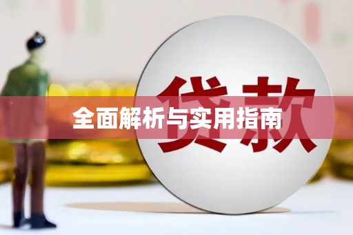 盐田全面解析与实用指南