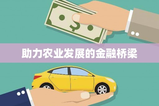 盐田助力农业发展的金融桥梁