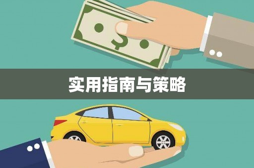 盐田实用指南与策略