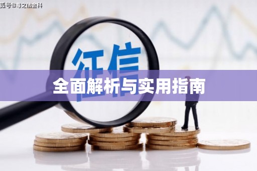 盐田全面解析与实用指南