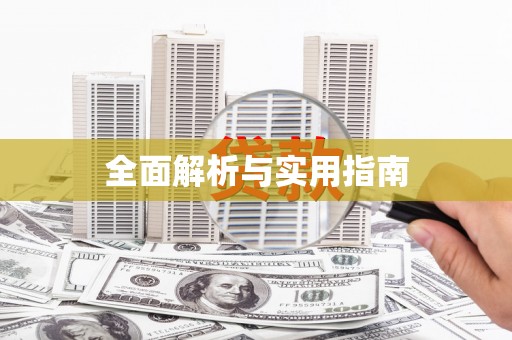 盐田全面解析与实用指南