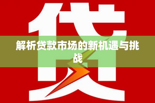 盐田解析贷款市场的新机遇与挑战