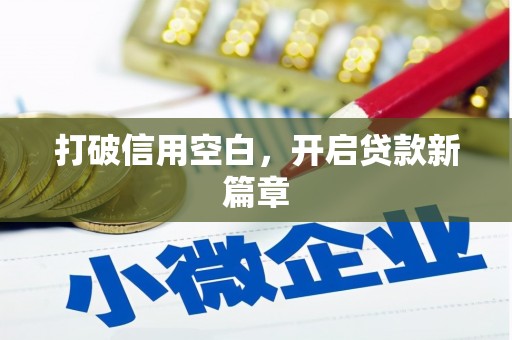 盐田打破信用空白，开启贷款新篇章