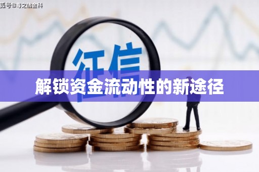 盐田解锁资金流动性的新途径