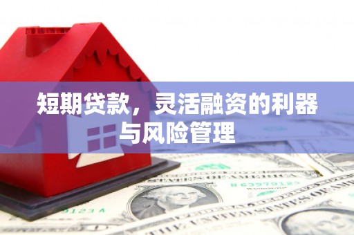 盐田短期贷款，灵活融资的利器与风险管理