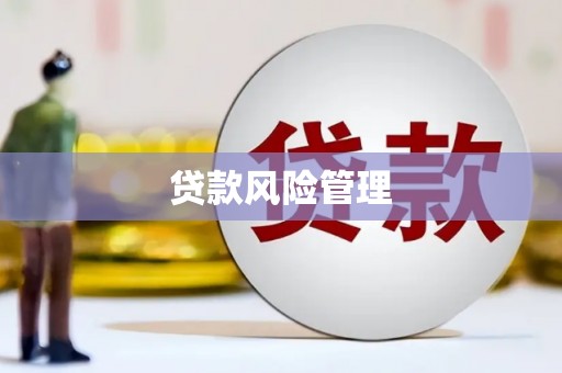 盐田贷款风险管理