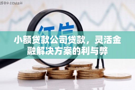 盐田小额贷款公司贷款，灵活金融解决方案的利与弊