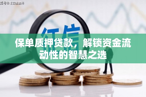 盐田保单质押贷款，解锁资金流动性的智慧之选