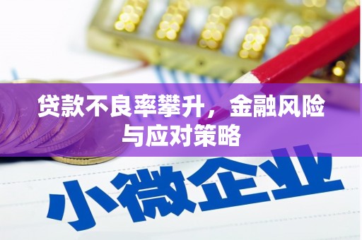 盐田贷款不良率攀升，金融风险与应对策略