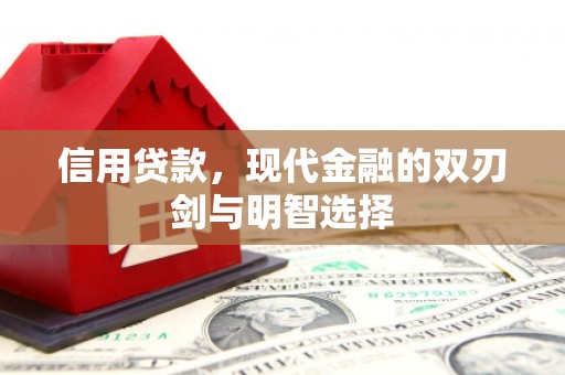 盐田信用贷款，现代金融的双刃剑与明智选择