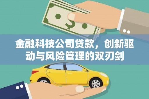 盐田金融科技公司贷款，创新驱动与风险管理的双刃剑