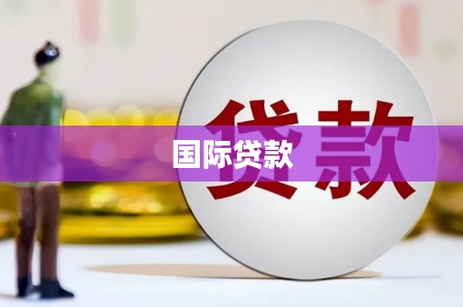盐田国际贷款